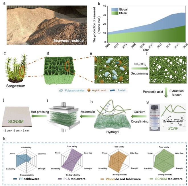中科大俞書宏院士團(tuán)隊AM:可食用、超強(qiáng)、熱穩(wěn)定好的海藻基結(jié)構(gòu)材料,可生物降解餐具新選擇!