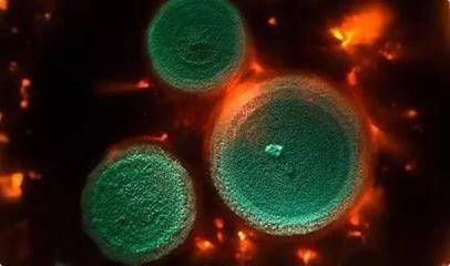 魏蔻蔻:一家年銷售額過百億歐元的公司是如何兼顧利潤和環境的? - 今日頭條(TouTiao.org)