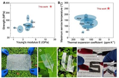 中國科大俞書宏院士團(tuán)隊(duì)研制可降解仿生透明薄膜