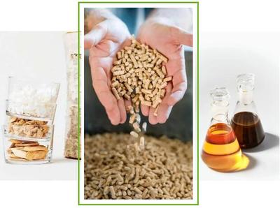 斯道拉恩索2019年業(yè)績解讀 生物質(zhì)材料事業(yè)部生物基材料銷售亮點(diǎn)